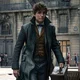 Newt Scamander 