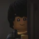Cole Bucket Ninjago