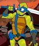 Leonardo rise 