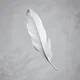 Feather