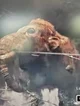 Mammoth