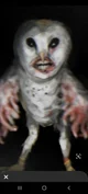 humanoid owl 