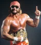 Randy Savage 