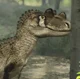 Ceratosaurus