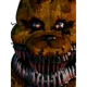 Nightmare Fredbear 