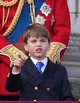 Prince Louis 