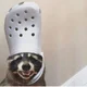 croc wearing raccoon