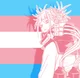 Mha Trans user