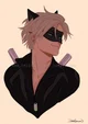 Cat noir