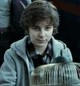 James Sirius Potter