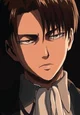Levi Ackerman 
