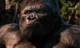King Kong