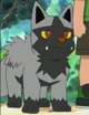Poochyena BF