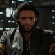 Professor Wolverine