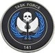 Task Force 141