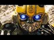 BUMBLEBEE 