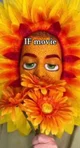 Flower -IF-