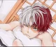 Shoto Todoroki ZB