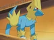 Manectric BF