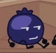 Blueberry II