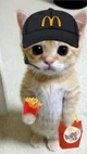 McDonalds cat