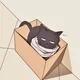 Aizawa cat
