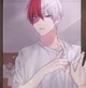Shoto Todoroki 