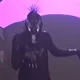 The Shadowman 