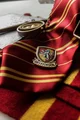 HP - Gryffindor GC