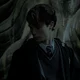 Tom Riddle 