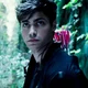 Alec Lightwood