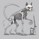 Skeleton kitty