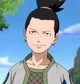 Shikamaru Nara