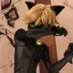Chat Noir