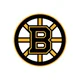 Boston Bruins