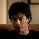Damon Salvatore MLM 