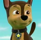 PAW Patrol Chase