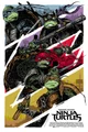 TMNT bayverse 