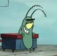 Plankton