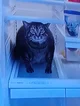 Cat in refrigerator 