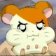 Hamtaro
