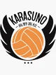 Karasuno Team