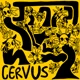 Cervus