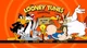 Looney Tunes Episode