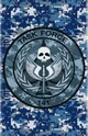 Task Force 141