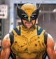 MCU Wolverine