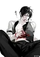 sebastian michaelis