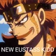 Eustass Kidd 
