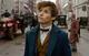 Newt Scamander