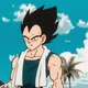 vegeta 